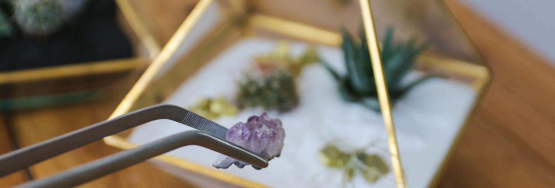 Succulent and Cacti Terrarium in Norwich, Norfolk UK