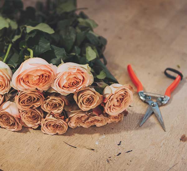 cut flower care guide how to look after flower bouquet