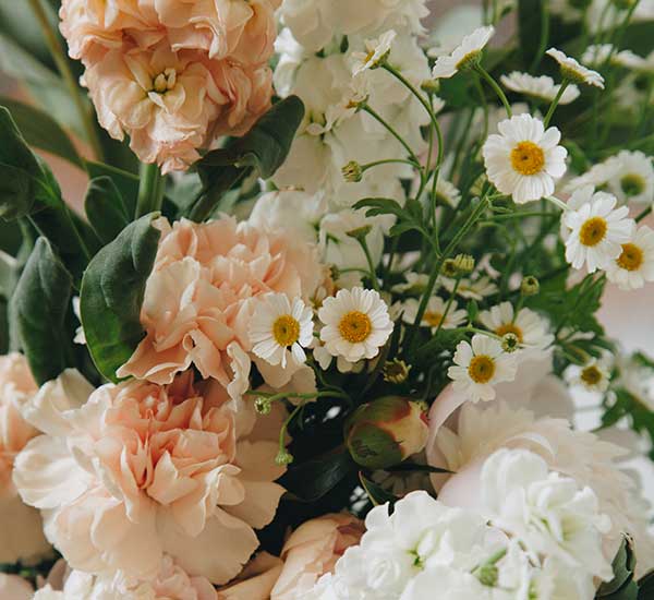 care for bouquet fresh flower care guide