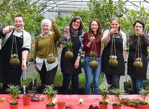 kokedama hanging plant botanical workshop norfolk