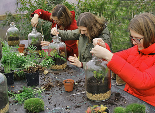 terrarium workshop plant workshop norwich norfolk