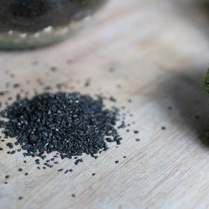 activated charcoal for terrarium
