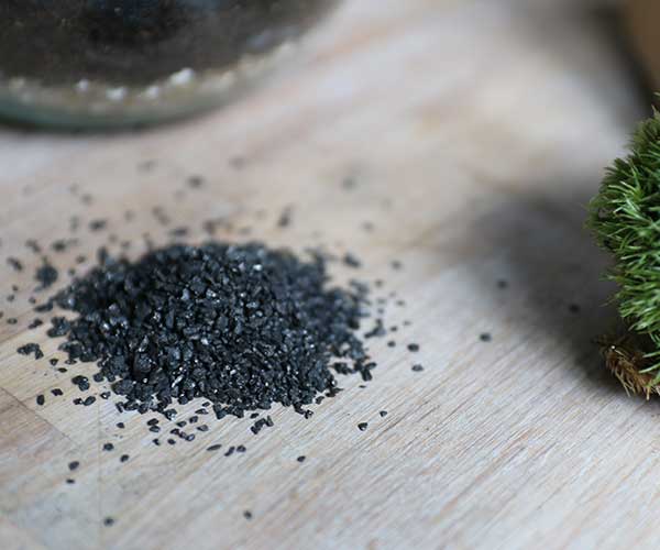 activated charcoal for terrarium