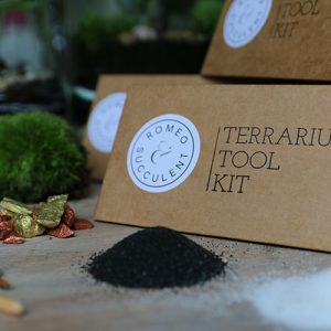make your own terrarium kit with plants