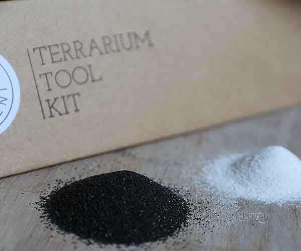 terrarium-tool-kit-with-sand