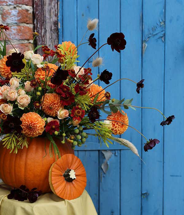 autumn halloween floral pumpkin