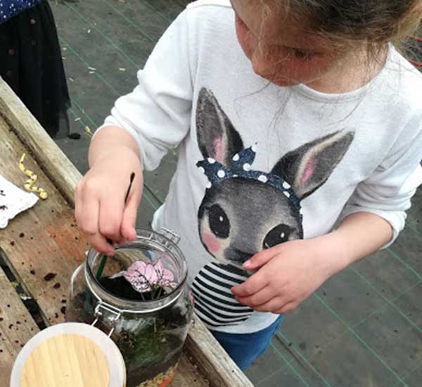 make your own terrarium craft