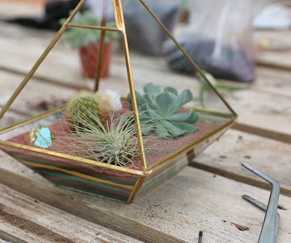 terrarium layers