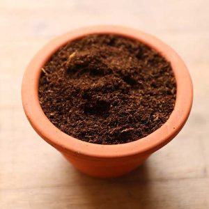 soil for cactus succulents