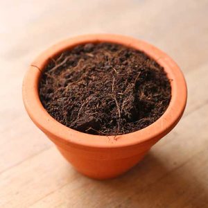 terrarium soil