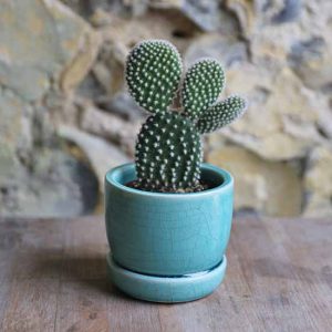 BASIC - Ceramic Plant Pot (6.5cm) - Image 3