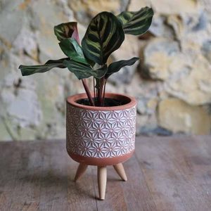 Plant Pots