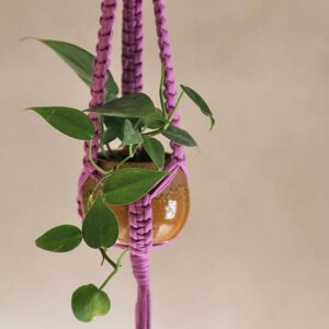 recycled macrame plant hangers