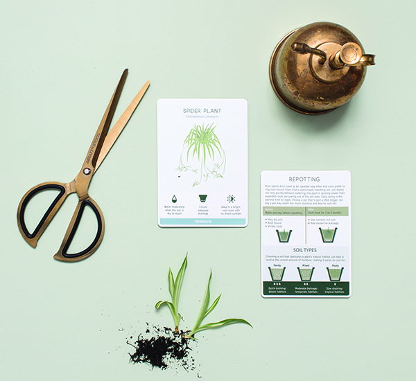 house plant care cards