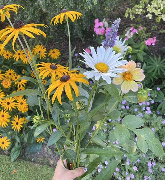 british grown flowers