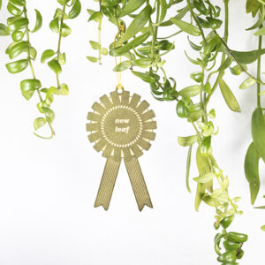 new leaf house plant medal