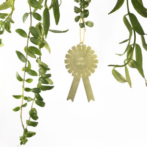 house plant medal