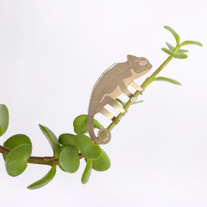 chameleon plant animal